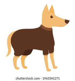 Winter dog clothes icon. Cartoon of Winter dog clothes vector icon for web design isolated on white background