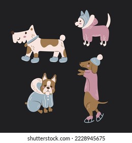 Winter dogs in clothes vector set. Cute hand drawn pets collection with chihuahua, terrier, dachshund, french bulldog in overall, hat, boots, ice skates. Funny winter puppy flat illustration
