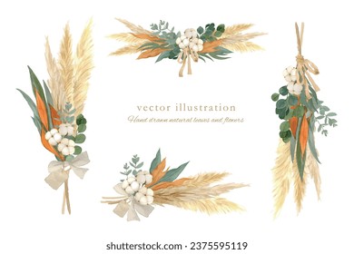 Winter dried flower set painted in watercolor