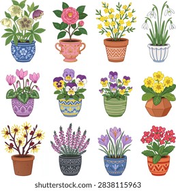 Winter and early spring flowering potted plants vector collection featuring hellebore, camellia, snowdrops, cyclamen, pansy, primrose, witch hazel, heather, and crocus in ornate ceramic pots isolated on white background. Flat botanical vector set.