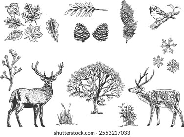 winter element in hand drawn classic vector illustration a beautiful line art for your seasonal element design