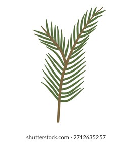 Winter Evergreen Foliage Element Grafikdesign, isolierter Hintergrund