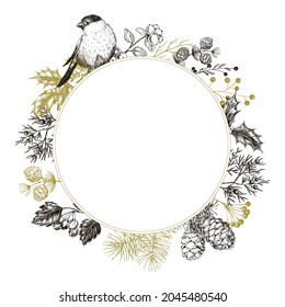 Winter evergreen plants, berries and bird. Hand drawn vintage floral sketch round frame. Black and white Christmas vector design. Isolated.