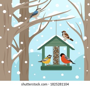 Winter feeder. Snow woodland, birds food on tree poster. Feeding wild animals on nature, flat bullfinch chickadee robin vector illustration