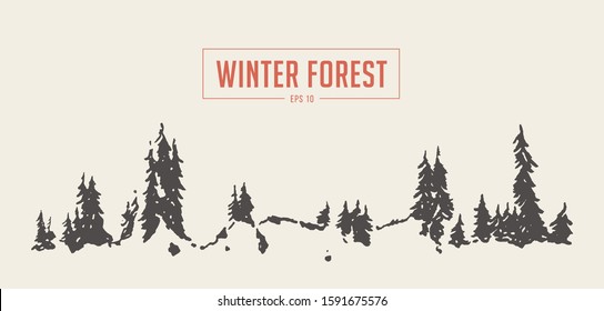 Winter fir forest background, vector illustration, hand drawn, sketch