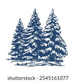 Winter fir sketch. Pine and spruce trees. Vector sketch illustration. Forest and nature hand drawn design elements set.
