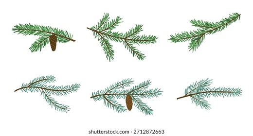 Abeto de inverno, abeto e ramos de pinheiros com cones. Ilustração vetorial plana de elementos botânicos perenes, perfeito para projetos de Natal e férias.