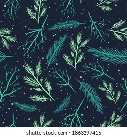 Winter flora seamless pattern with turquoise and green shades. Christmas tree and evergreen branches repetitive background.