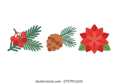 Winter Floral and Botanical Elements, Christmas Pine Branches and Poinsettia, Flat Vector Pinecones and Red Berries Illustration, Seasonal Nature Set
