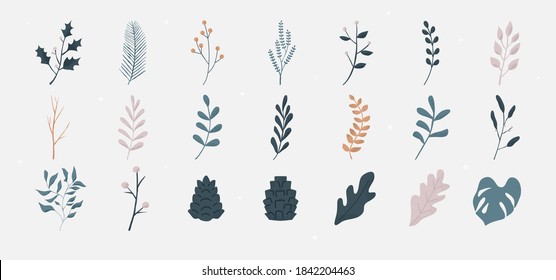 Winter floral collection with decorative foliage and flowers. Natural branches leaves and berries elements. Cute pastel plants with snowflake. Flower and leaf Herbs and branch botanical illustration.