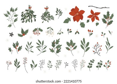 Winter floral set, berries and leaves. Vector hand drawn winter elements with leaf, fir, pine branches, berry. Botanical Christmas collection for invitations, greeting card, textile, fabric, posters.