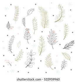 Winter floral set. Hand drawn vector