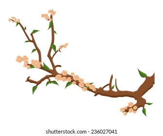 Winter Flowers Branch
