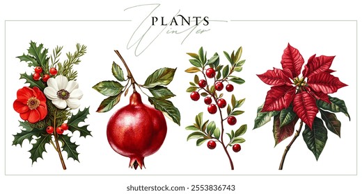 Winter flowers and plants isolated on a white background. Vintage painting style illustration.