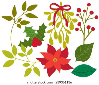 Winter Foliage and Christmas Flowers, Holly, Berries, Mistletoe