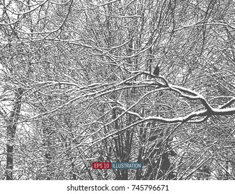 Winter forest. Abstract nature background. One click color change. Template for your design works. Vector illustration.
