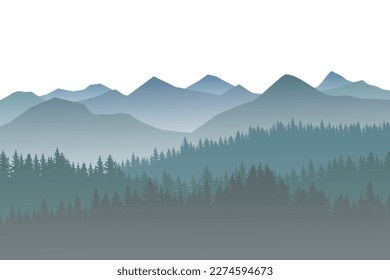 winter forest background. Pine forest landscape. Forest pine park. Fog and haze forest landscape.