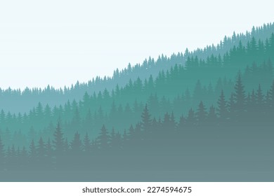 winter forest background. Pine forest landscape. Forest pine park. Fog and haze forest landscape.