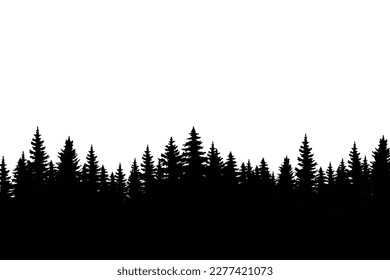 winter forest background. Pine forest landscape. Forest pine park. Fog and haze forest landscape.