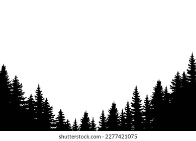 winter forest background. Pine forest landscape. Forest pine park. Fog and haze forest landscape.