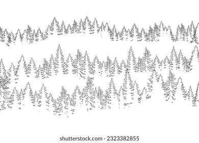 winter forest background. Pine forest landscape. Forest pine park. Fog and haze forest landscape.