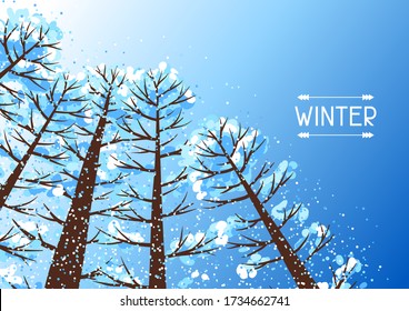 Winter forest background with stylized trees. Seasonal illustration.