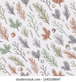 Winter forest branches and leaves seamless pattern. Botanical vintage illustration. Vector illustration