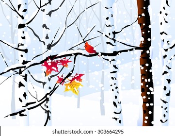 Winter Forest & Color Birds