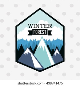 winter forest design 