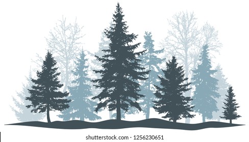 Winter forest evergreen pine, tree isolated. Park Christmas tree. Individual, separate objects. Vector illustration