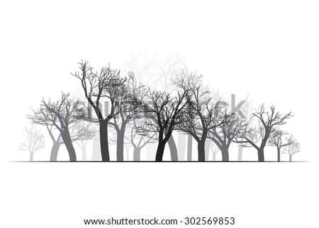 winter forest in the fog