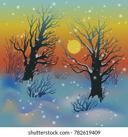 Winter forest landscape with sunset and bare trees