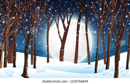 Winter forest at night scene illustration
