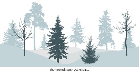 Winterwald, Silhouette von nacktem Baum, Fichte, Kiefer. Schöne Natur, Landschaft. Vektorgrafik