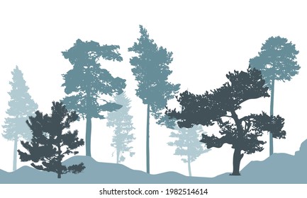 Winter forest, silhouette of tree, spruce, pine. Beautiful nature, landscape. Vector illustration