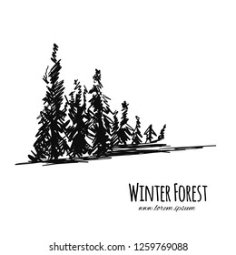 Winter forest, sketch for your design