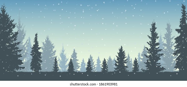 Winter forest and snowfall, silhouettes beautiful snowy Christmas trees. Vector illustration