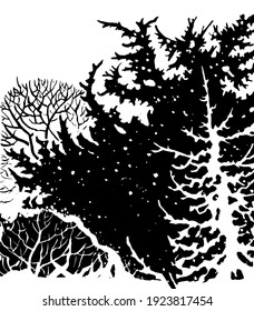Winterwald, Schneefall, weiße Bäume und Äste, Silhouette
