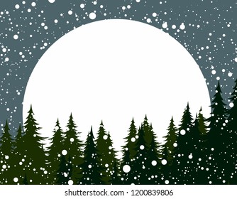 Winter forest with sun dawn. 