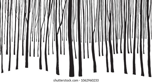 winter forest that resembles barcode