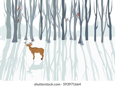 Winter forest trees, deer standung and shadows, snow/