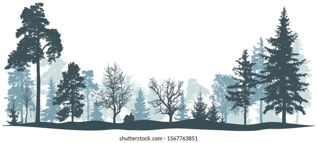 Winter forest vector illustration. Isolated trees silhouette