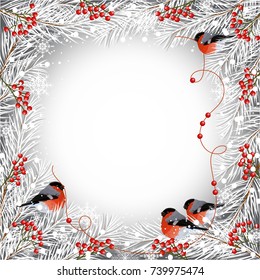 Winter frame with bullfinches, fir branche and snowflakes for use in your design.