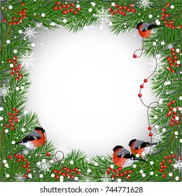 Winter frame with bullfinches, fir branches and snowflakes for use in your design.