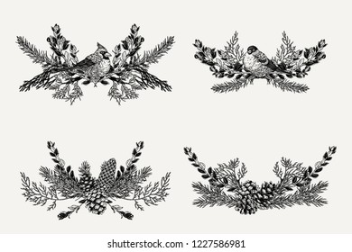 Winter frame element decoration. Hand drawn vintage botanical illustration of evergreen plants, cones and birds.