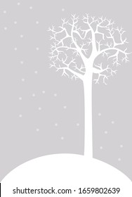 Winter frame with tree branches, snowflakes, falling snow. Greeting card and poster. New year background. Winter template. New year flyer. Vector winter wood holidays. Winter wallpaper theme.
