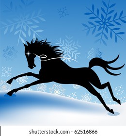 winter freedom horse