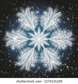 Winter frosted snowflake card, vector illustration