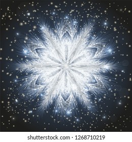 Winter frosted snowflake wallpaper, vector illustration