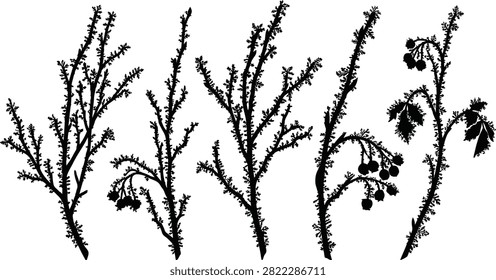 Winter frosty tree branches silhouette set with frozen twigs berries and rime ice black and white vector illustration
